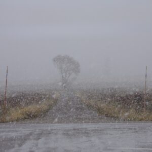 Antelope Flats, April